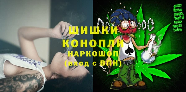 стафф Козловка